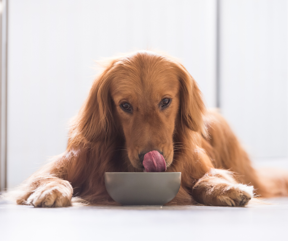 How much food should I order?